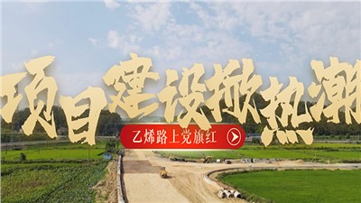 “乙烯路上党旗红”党建品牌创建系列报道（五）项目建设掀热潮