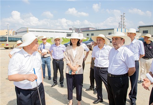 市委书记曹普华督导疏港公路一期项目建设工作